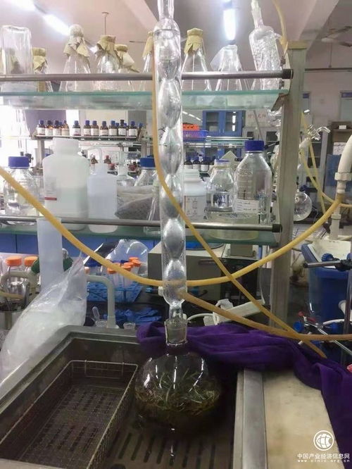 吉林柳河縣 以葡聚糖大米技術(shù)開發(fā)引領(lǐng)農(nóng)業(yè)升級(jí)，推動(dòng)農(nóng)民持續(xù)增收